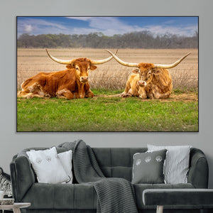 Texas Longhorn Pair Wall Art Canvas Print – Peaceful Rustic