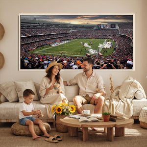Chicago Bears Soldiers Field Wall Art Canvas Print – Framed