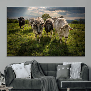 Grazing Cattle Herd Pasture Green Field Livestock Natural