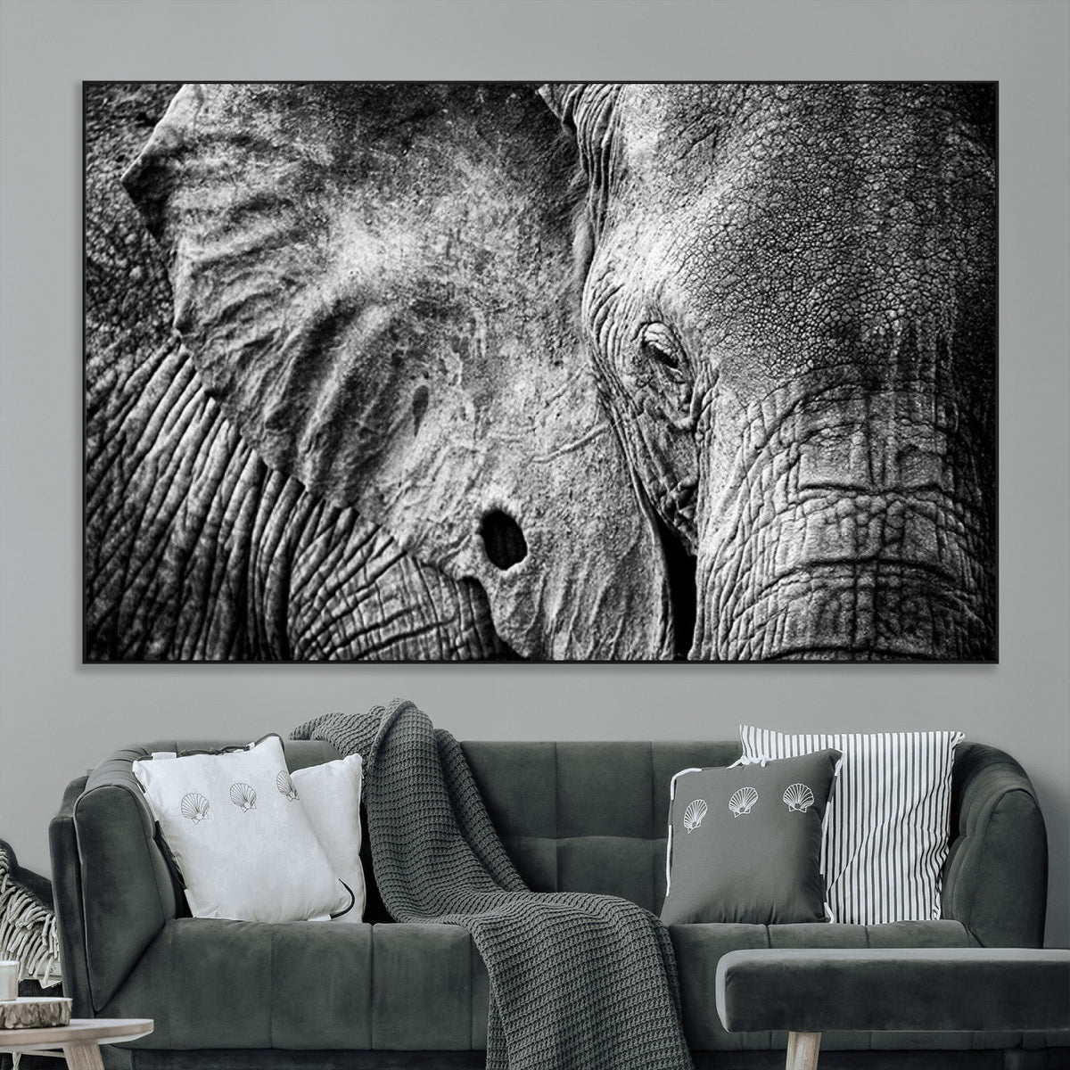Wild Old Elephant Wall Art Canvas Print