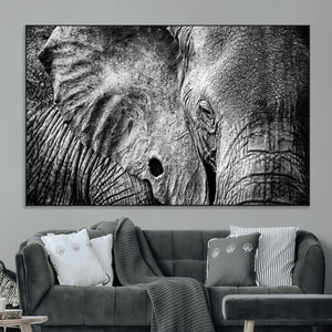 Wild Old Elephant Wall Art Canvas Print