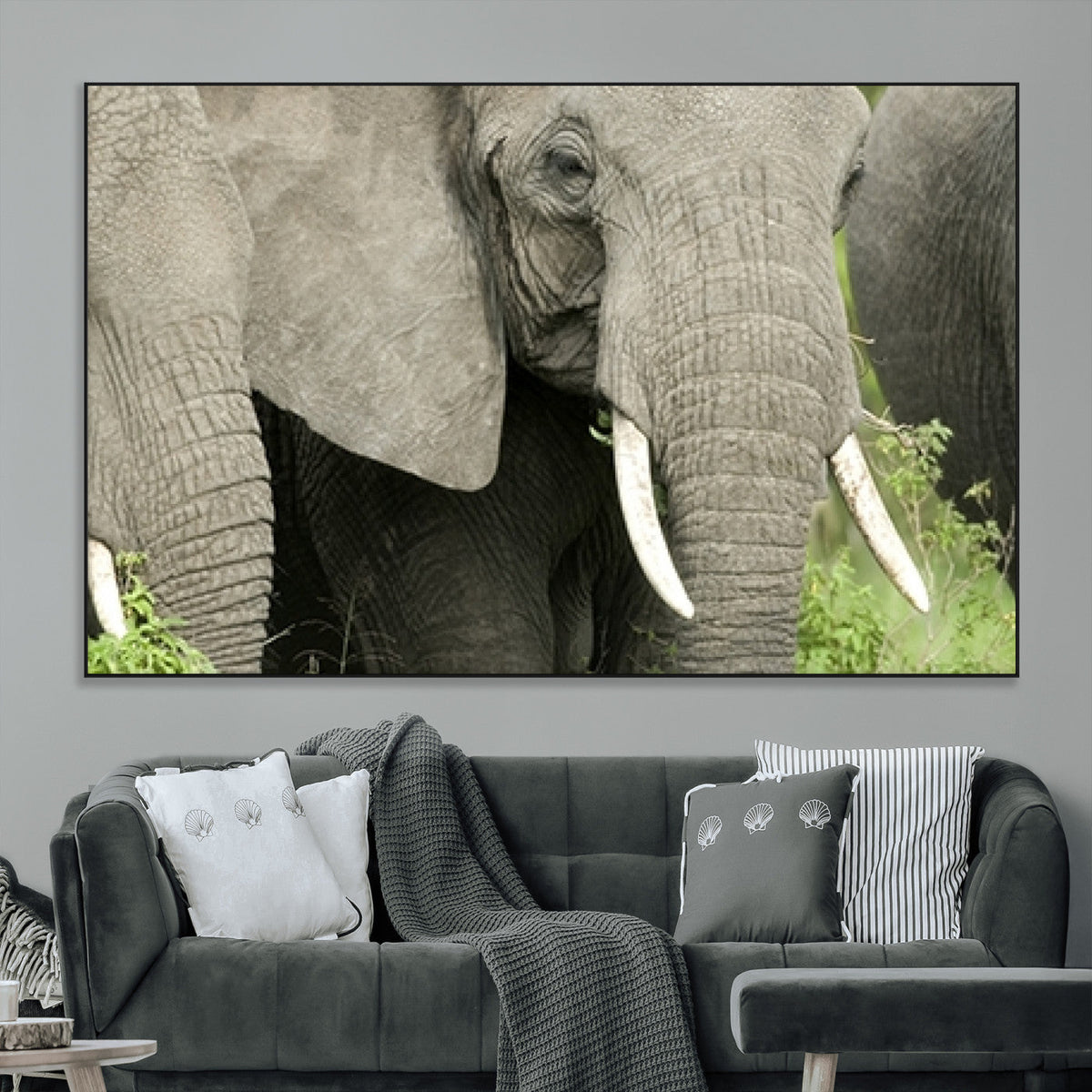 Wild Elephant Wall Art Canvas Print