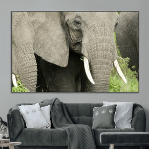 Wild Elephant Wall Art Canvas Print
