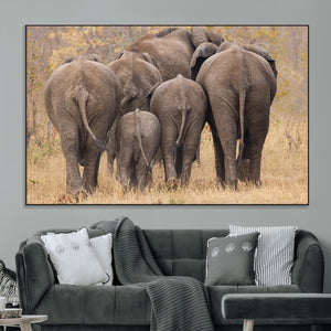 Wild Elephant Wall Art Canvas Print