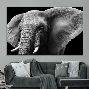 Big Elephant Close Up Wall Art Canvas Print