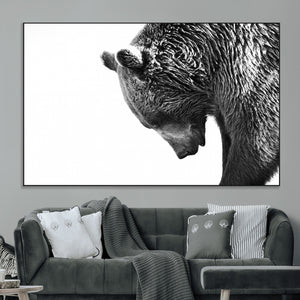 Black and White Grizzly 399 Bear Canvas Print Wall Art |