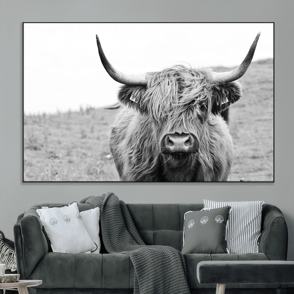 Newfoundland Cow Art Wall Art, Black White Cow Art Wall Art