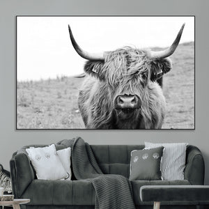 Newfoundland Cow Art Wall Art, Black White Cow Art Wall Art
