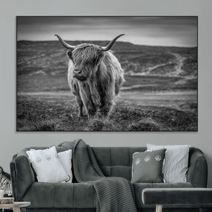 Fluffy Cattle Wall Art Print, Highland Cow Canvas, Framed