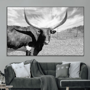 Cattle Wall Art Longhorn Cow Canvas Print