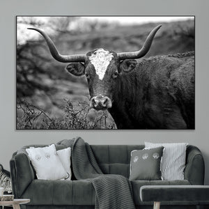 Western Home Wall Art Canvas Print, Framed Texas Longhorn