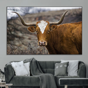 Texas Longhorn Canvas Wall Art - Longhorn Steer Canvas Wall