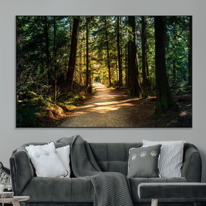 Sunlit Forest Pathway Canvas Print | 3 Panel Large Nature