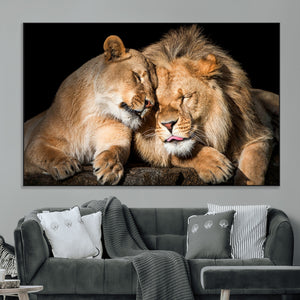 Lion and Lioness Wall Art Canvas Print – Framed African