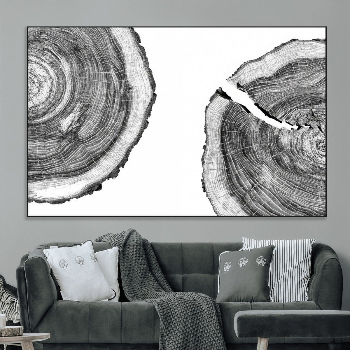 Abstract Large Tree Rings – Minimalist Black and White Wood