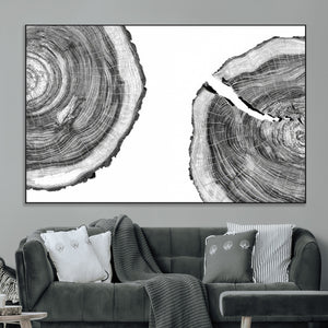 Abstract Large Tree Rings – Minimalist Black and White Wood