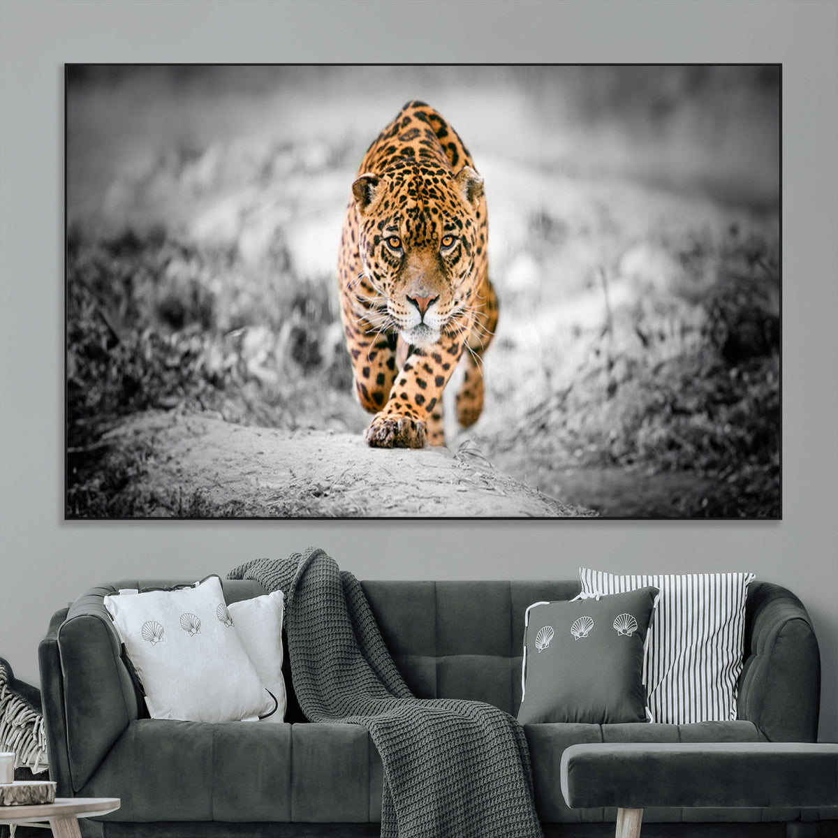 Jaguar Wall Art Canvas Print - Majestic Big Cat in Focused