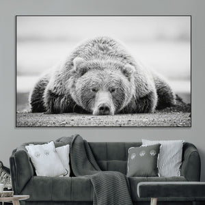 Resting Grizzly Bear Wall Art Canvas Print – Majestic Lazy