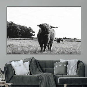 Black and White Highland Cow Wall Art Canvas Print | Rustic