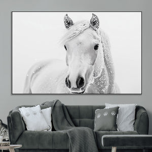 Majestic White Horse Wall Art | Ready to Hang and Framed |