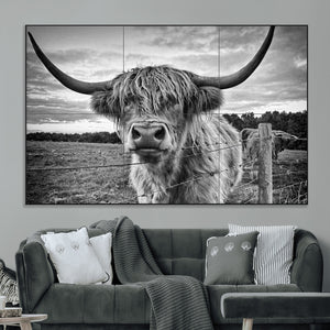 Scottish Highland Cow Wall Art Canvas Print | Ready to Hang