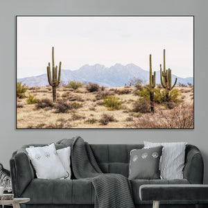 Arizona Desert Wall Art Print | Arizona Desert Canvas Print