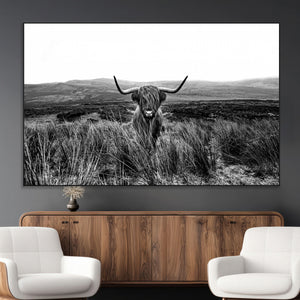 Black and White Highland Cow Canvas Wall Art, Longhorn