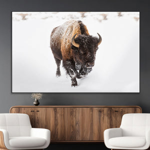 Bison Winter Wall Art Canvas Print For Farmhouse Decor