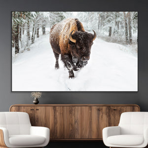 Bison Wall Art Canvas Print For Farmhouse, Animal Canvas