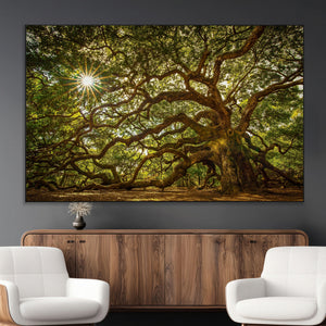 Ancient Angel Oak Tree Art Sunburst Canvas Print-