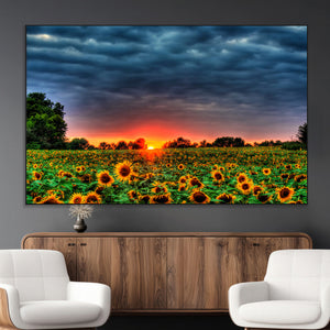 Golden Sunflower Field at Sunset – Breathtaking Sky and
