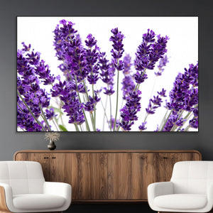 Lavender Flower Wall Art Canvas Print