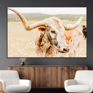Texas Longhorn Wall Art Canvas Print – Framed Spotted Cow