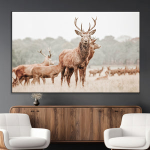 Rustic Nature Wall Art Canvas Print – Stag Woodland Framed