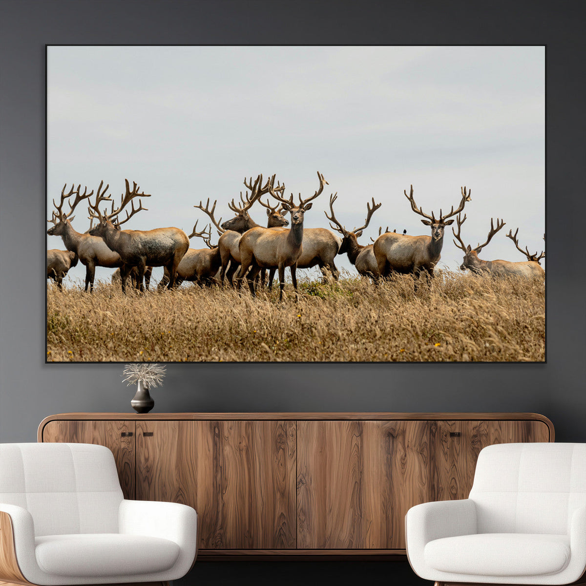 Elk Herd Wall Art Canvas Print – Framed Wildlife Photography