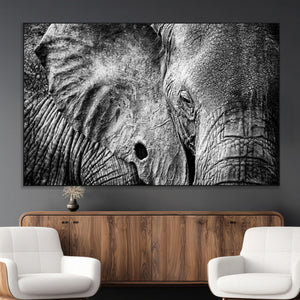 Wild Old Elephant Wall Art Canvas Print