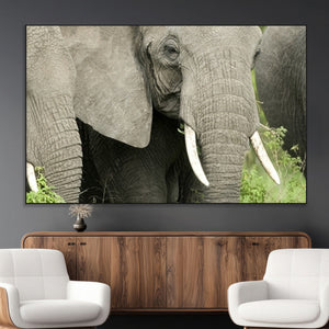 Wild Elephant Wall Art Canvas Print