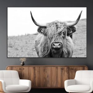 Newfoundland Cow Art Wall Art, Black White Cow Art Wall Art