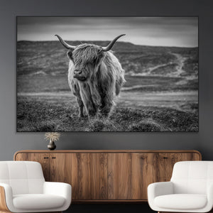 Fluffy Cattle Wall Art Print, Highland Cow Canvas, Framed