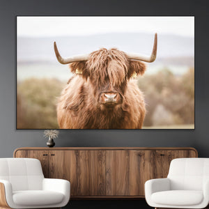Scottish Serene Highland Cow Canvas Wall Art – Serene