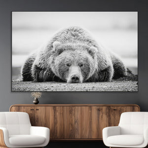 Resting Grizzly Bear Wall Art Canvas Print – Majestic Lazy