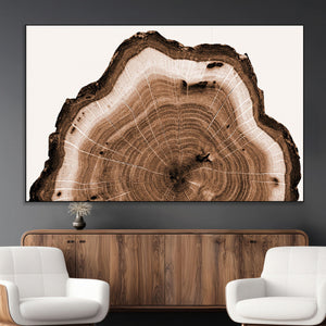 Rustic Wood Rings Wall Art | Nature-Inspired Tree Ring