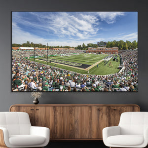 University of Charlotte 49ers Football Team Print -