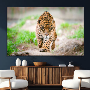 Leopard on the Prowl - Stunning Large Framed Leopard Wall