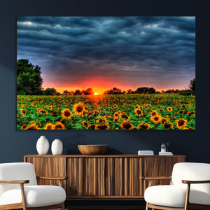 Golden Sunflower Field at Sunset – Breathtaking Sky and