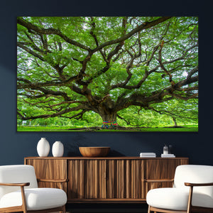 Angel Oak Tree Wall Art Canvas Print – Framed Majestic
