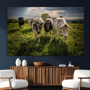 Grazing Cattle Herd Pasture Green Field Livestock Natural