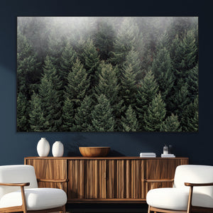 Dense Evergreen Forest Misty Morning Fog Pine Trees Woodland