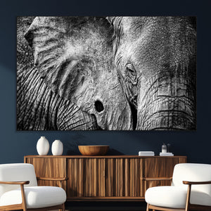 Wild Old Elephant Wall Art Canvas Print