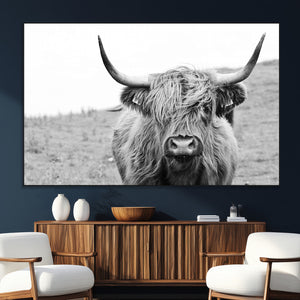 Newfoundland Cow Art Wall Art, Black White Cow Art Wall Art